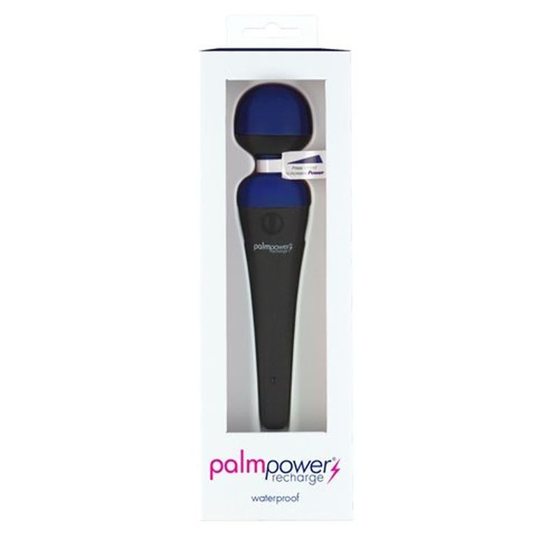 PalmPower Massage Wand Blue-30614