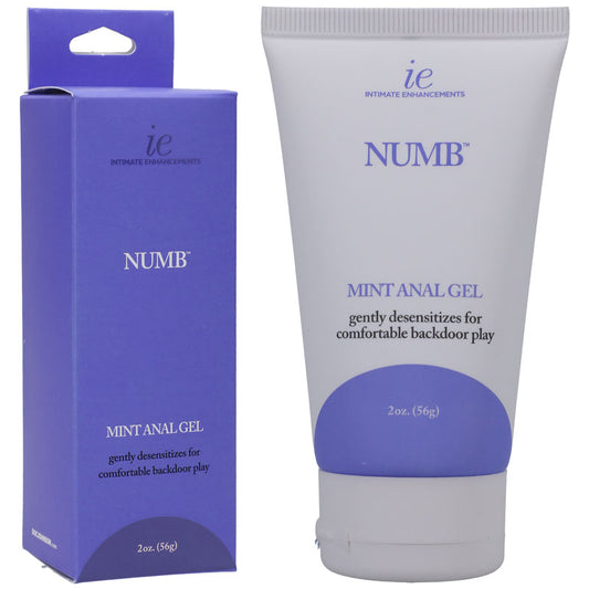 Numb Anal Gel - Mint - Mint Flavoured Numbing Anal Gel - 59 ml Tube-1312-24-BX