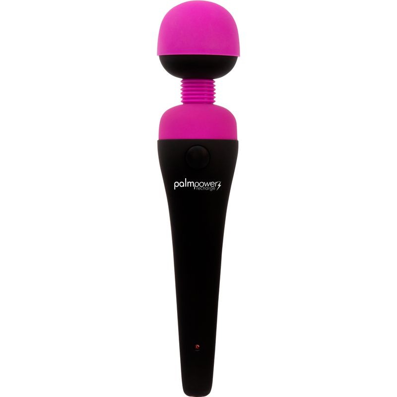 PalmPower Massage Wand Recharge Waterproof-30628