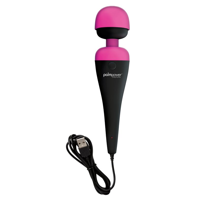 PalmPower Massage Wand Plug and Play USB-30728