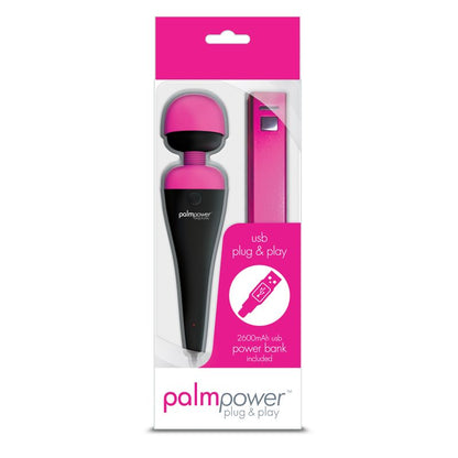 PalmPower Massage Wand Plug and Play USB-30728
