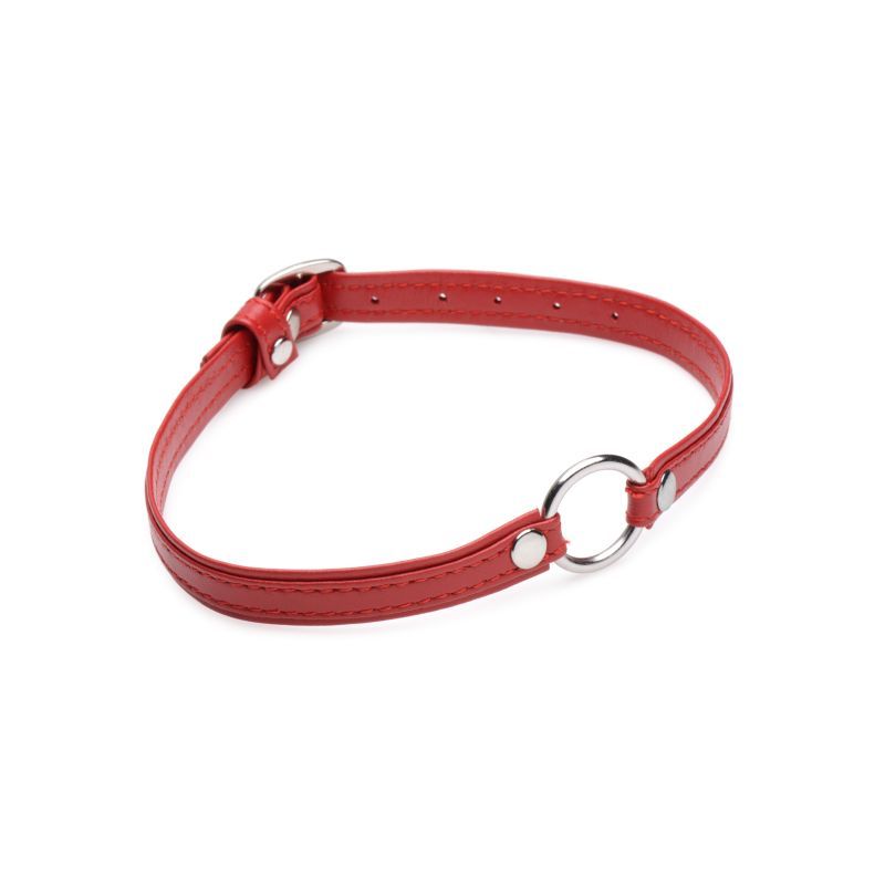 Fiery Pet Leather Choker w Silver Ring Red-AG761-RED