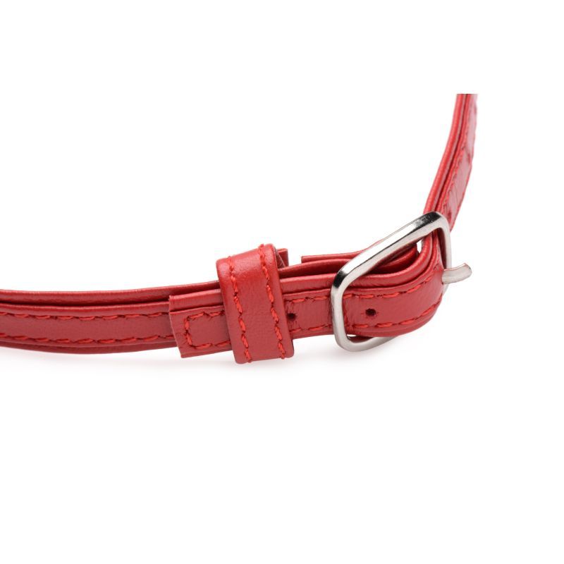 Fiery Pet Leather Choker w Silver Ring Red-AG761-RED