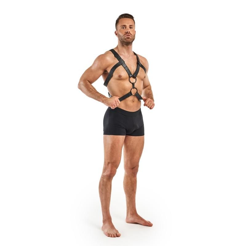 Rocco Bondage Harness Black-BF027BLK