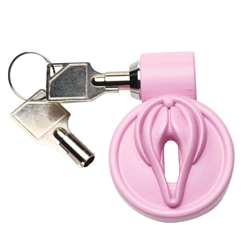 Pussification Vulva Chastity Cage-AH542