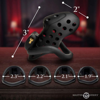 Lock Down Chastity Cage-AH599