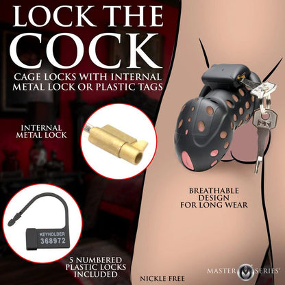 Lock Down Chastity Cage-AH599