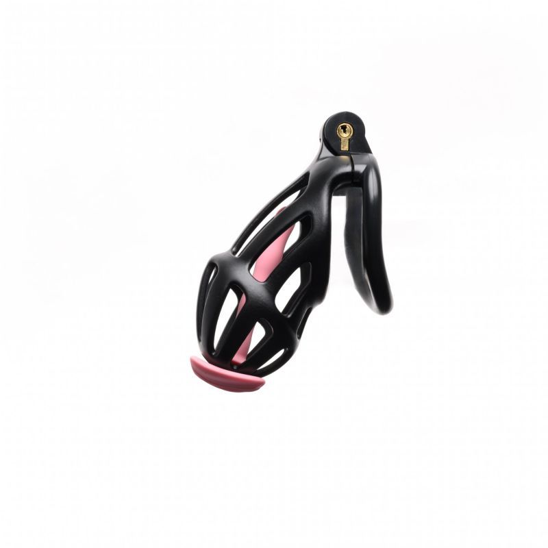 Centurion Size 2 Cock Cage with Pussification Plug-SF-23604M