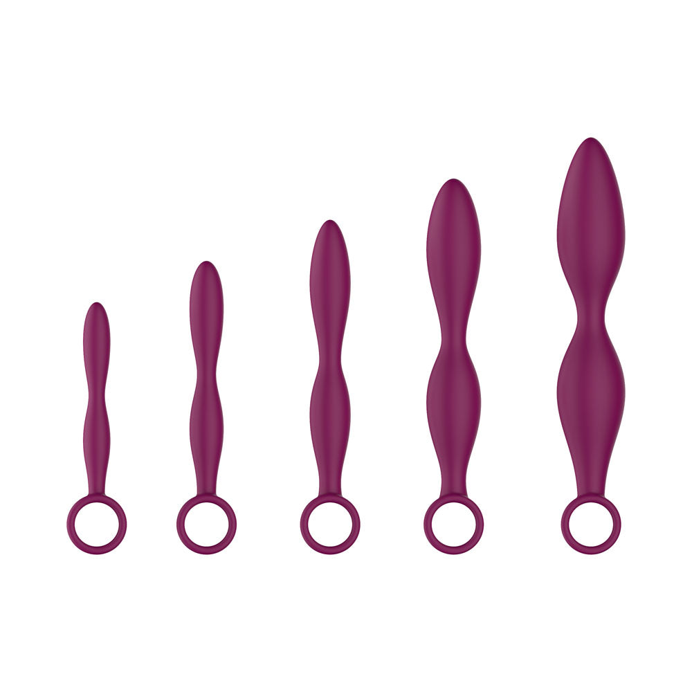 Passion Play Silicone Dilator Set - Purple Dilator Kit - Set of 5 Sizes - PP0101