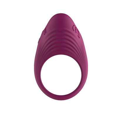 Passion Play Silicone Vibrating Cockring - Purple USB Rechargeable Penis Ring - PP0256